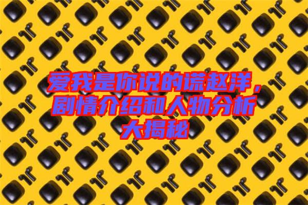 愛我是你說的謊趙洋，劇情介紹和人物分析大揭秘