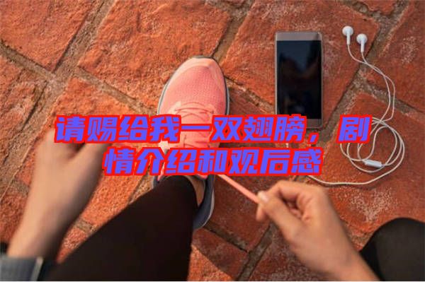 請(qǐng)賜給我一雙翅膀，劇情介紹和觀后感