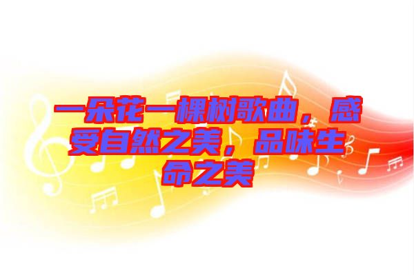 一朵花一棵樹歌曲，感受自然之美，品味生命之美