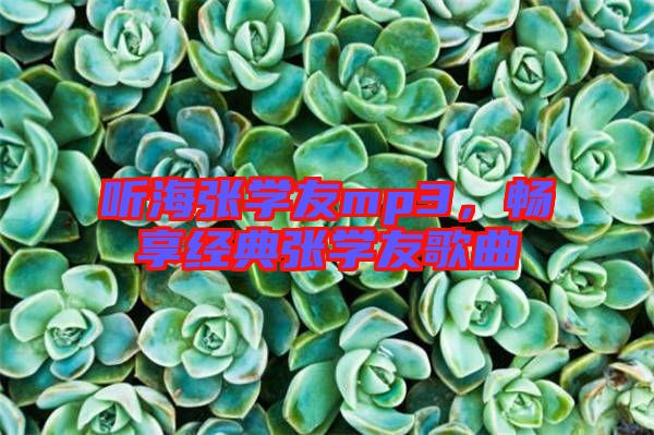 聽海張學友mp3，暢享經(jīng)典張學友歌曲