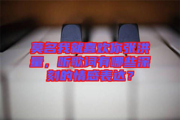莫名我就喜歡你張洪量，聽歌詞有哪些深刻的情感表達？