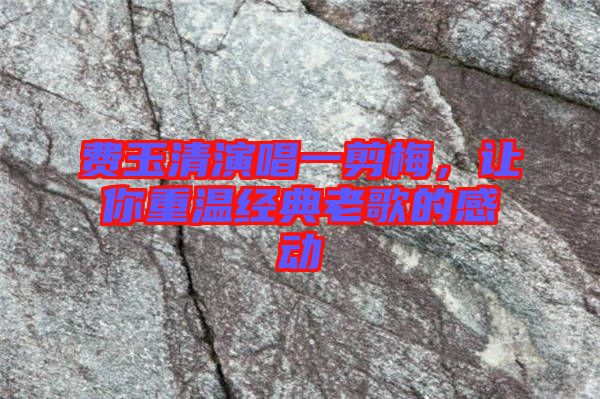 費(fèi)玉清演唱一剪梅，讓你重溫經(jīng)典老歌的感動(dòng)