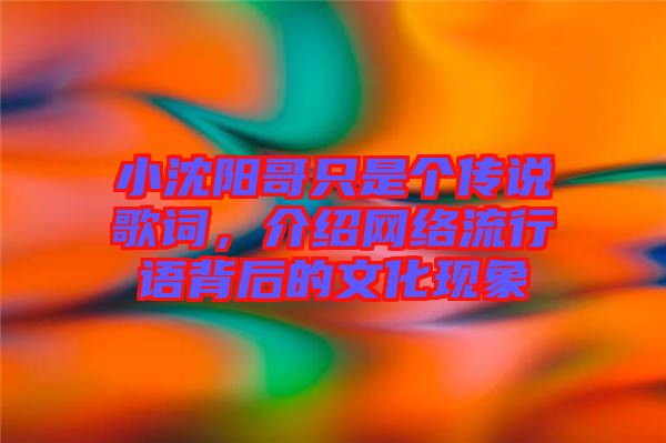 小沈陽哥只是個(gè)傳說歌詞，介紹網(wǎng)絡(luò)流行語背后的文化現(xiàn)象