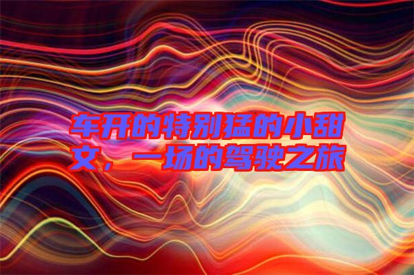 車開(kāi)的特別猛的小甜文，一場(chǎng)的駕駛之旅