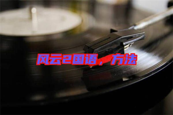 風(fēng)云2國語，方法