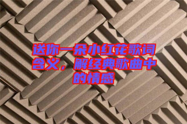 送你一朵小紅花歌詞含義，解經(jīng)典歌曲中的情感