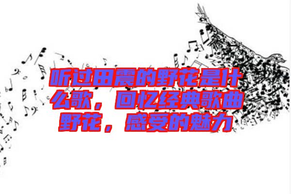 聽過田震的野花是什么歌，回憶經(jīng)典歌曲野花，感受的魅力