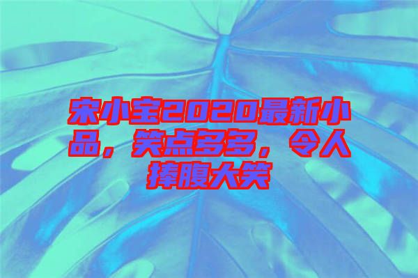 宋小寶2020最新小品，笑點(diǎn)多多，令人捧腹大笑