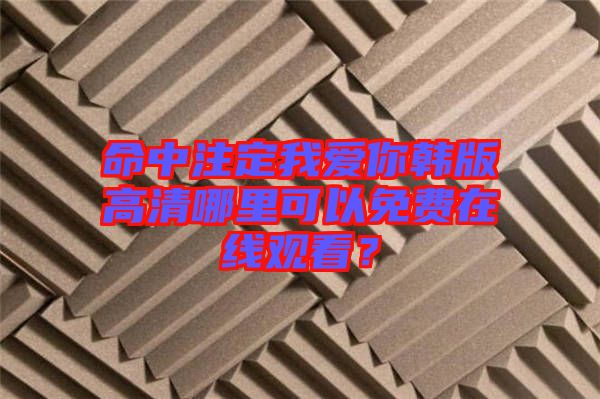 命中注定我愛(ài)你韓版高清哪里可以免費(fèi)在線(xiàn)觀看？