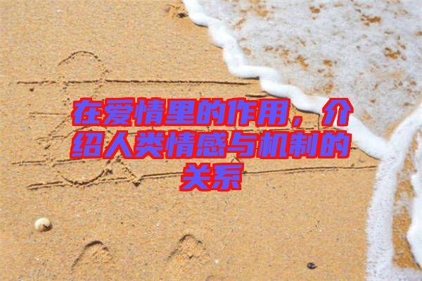 在愛情里的作用，介紹人類情感與機制的關系