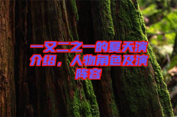 一又二之一的夏天演介紹，人物角色及演陣容