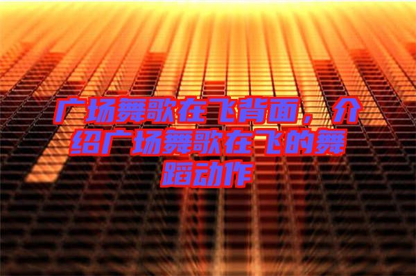 廣場舞歌在飛背面，介紹廣場舞歌在飛的舞蹈動作