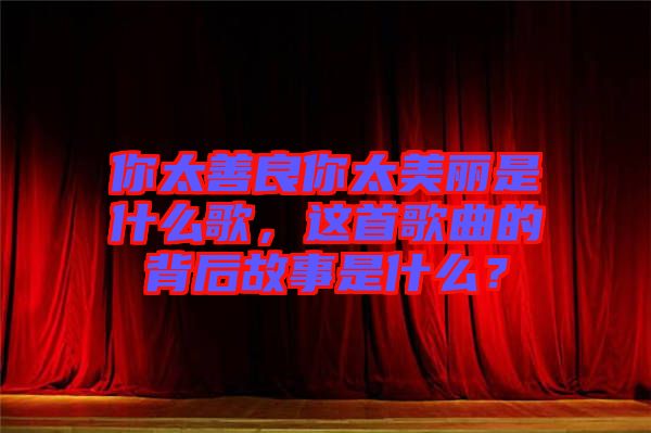 你太善良你太美麗是什么歌，這首歌曲的背后故事是什么？