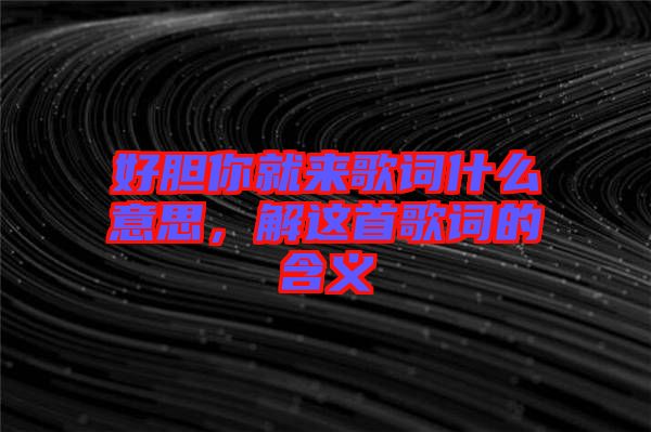 好膽你就來(lái)歌詞什么意思，解這首歌詞的含義