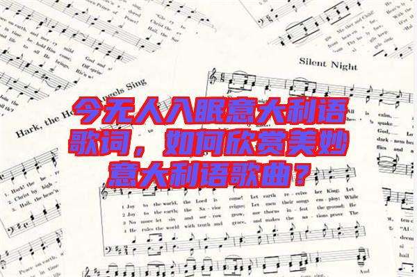 今無(wú)人入眠意大利語(yǔ)歌詞，如何欣賞美妙意大利語(yǔ)歌曲？