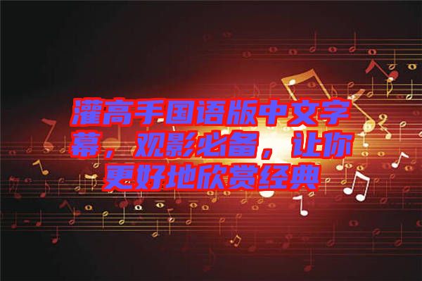 灌高手國語版中文字幕，觀影必備，讓你更好地欣賞經(jīng)典