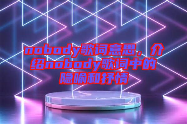 nobody歌詞意思，介紹nobody歌詞中的隱喻和抒情