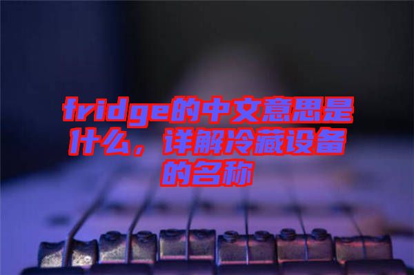 fridge的中文意思是什么，詳解冷藏設備的名稱