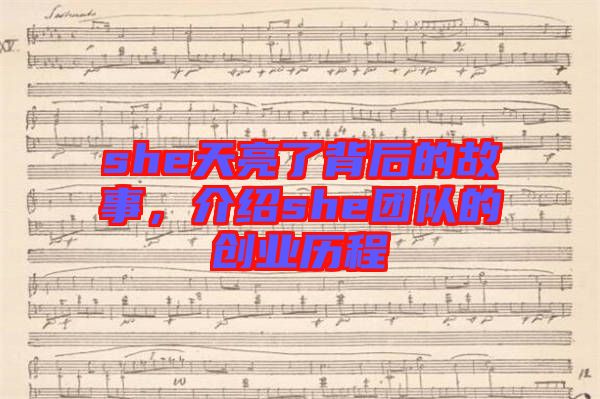 she天亮了背后的故事，介紹she團(tuán)隊(duì)的創(chuàng)業(yè)歷程