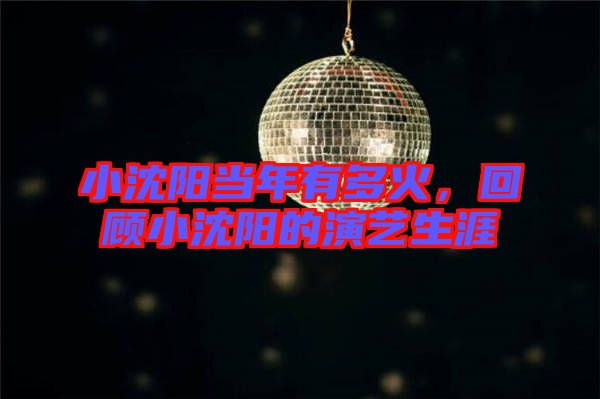 小沈陽當年有多火，回顧小沈陽的演藝生涯