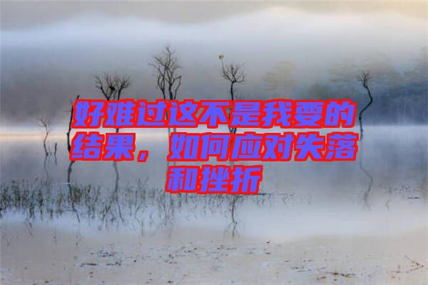 好難過這不是我要的結(jié)果，如何應(yīng)對失落和挫折