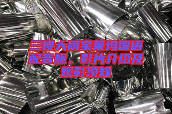 三傻大鬧寶萊塢國語配音版，影片介紹及觀影須知