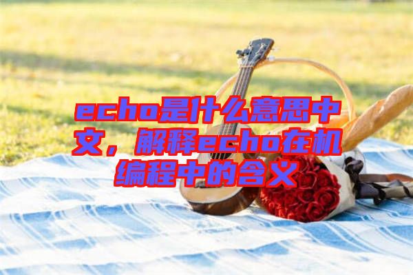 echo是什么意思中文，解釋echo在機(jī)編程中的含義