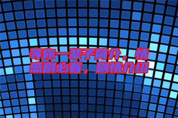 等你一輩子簡介，情感劇必看，劇情介紹