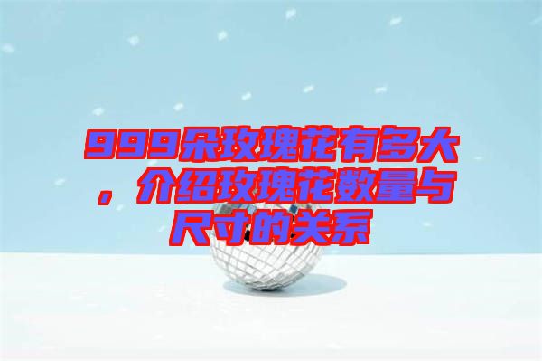 999朵玫瑰花有多大，介紹玫瑰花數(shù)量與尺寸的關(guān)系
