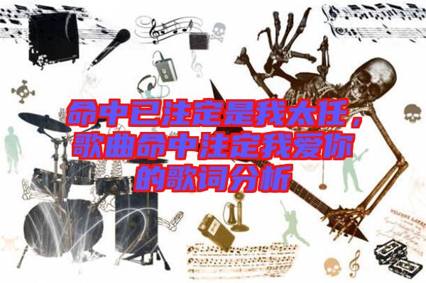 命中已注定是我太任，歌曲命中注定我愛(ài)你的歌詞分析