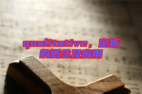 qualitative，定析的概念及應用