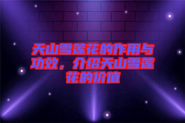 天山雪蓮花的作用與功效，介紹天山雪蓮花的價(jià)值