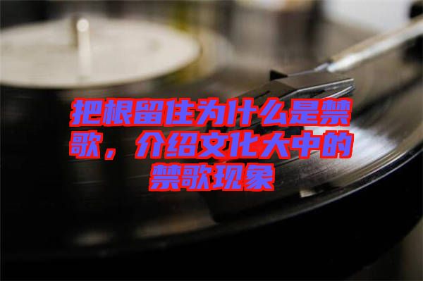 把根留住為什么是禁歌，介紹文化大中的禁歌現象
