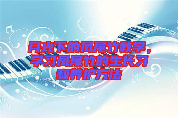 月光下的鳳尾竹教學(xué)，學(xué)習(xí)鳳尾竹的生長習(xí)和養(yǎng)護(hù)方法