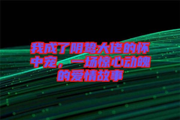 我成了陰鷙大佬的懷中寵，一場(chǎng)驚心動(dòng)魄的愛情故事