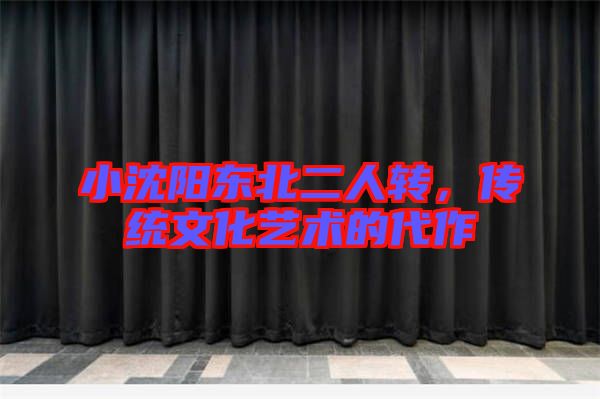 小沈陽東北二人轉，傳統(tǒng)文化藝術的代作