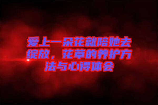 愛(ài)上一朵花就陪她去綻放，花草的養(yǎng)護(hù)方法與心得體會(huì)