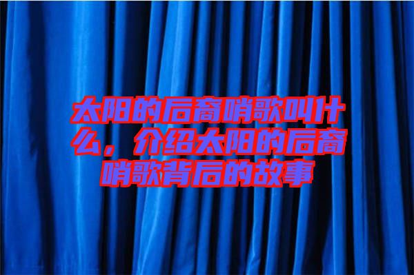太陽的后裔哨歌叫什么，介紹太陽的后裔哨歌背后的故事