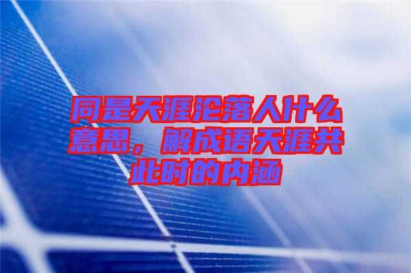 同是天涯淪落人什么意思，解成語天涯共此時(shí)的內(nèi)涵