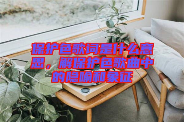 保護色歌詞是什么意思，解保護色歌曲中的隱喻和象征