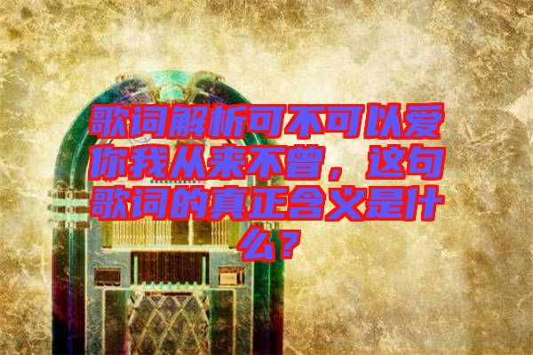 歌詞解析可不可以愛你我從來不曾，這句歌詞的真正含義是什么？