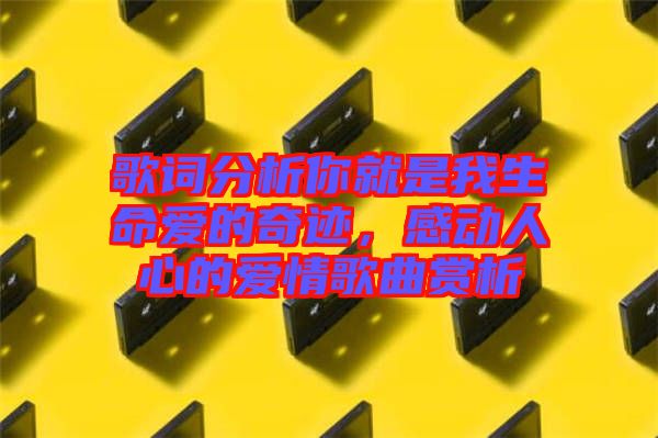 歌詞分析你就是我生命愛的奇跡，感動人心的愛情歌曲賞析