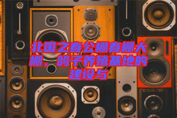 北國之春公棚春棚大棚，鴿子養(yǎng)殖基地的建設與