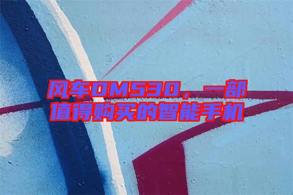 風(fēng)車DM530，一部值得購買的智能手機(jī)