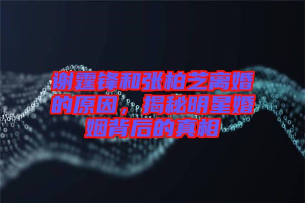 謝霆鋒和張柏芝離婚的原因，揭秘明星婚姻背后的真相