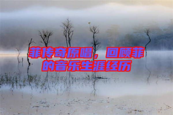 菲傳奇原唱，回顧菲的音樂(lè)生涯經(jīng)歷