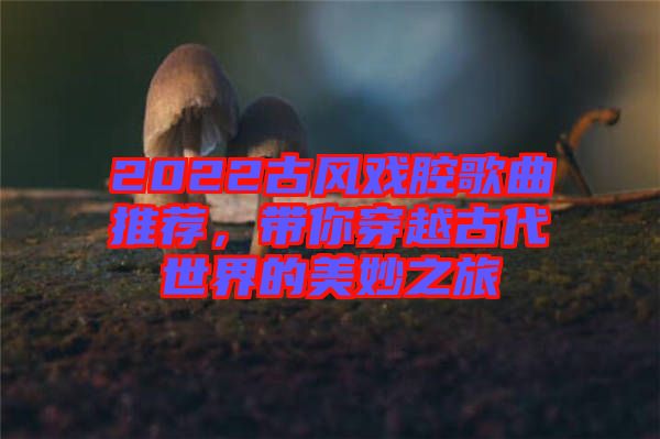 2022古風(fēng)戲腔歌曲推薦，帶你穿越古代世界的美妙之旅