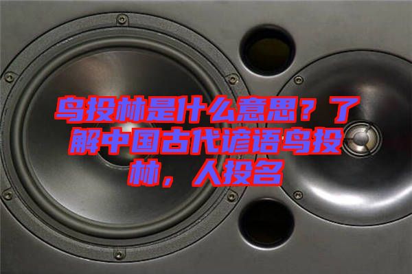 鳥投林是什么意思？了解中國古代諺語鳥投林，人投名