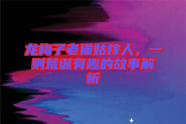 龍梅子老貓姑嫁人，一則荒誕有趣的故事解析