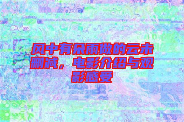 風(fēng)中有朵雨做的云未刪減，電影介紹與觀影感受